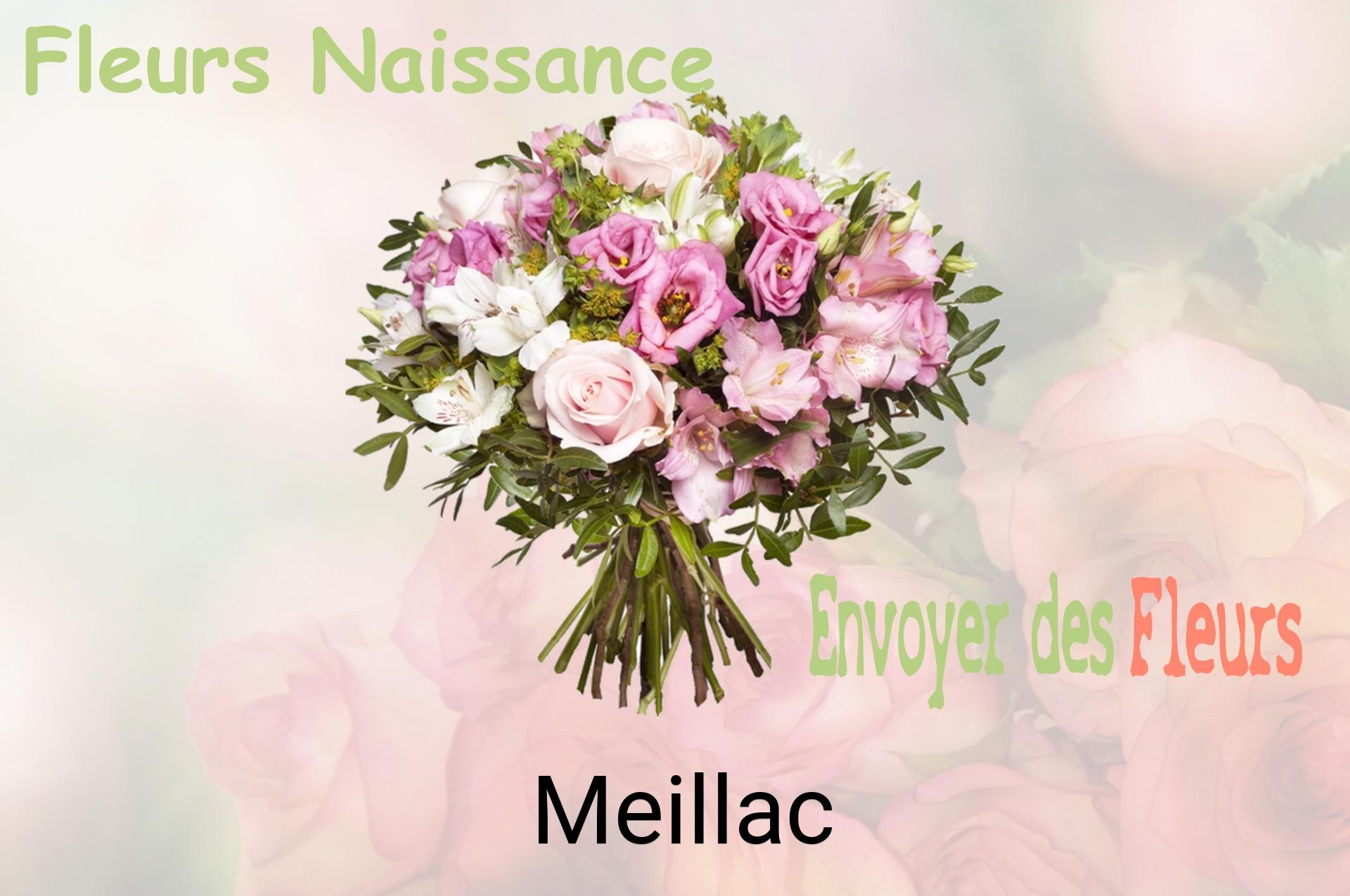 Bouquet de fleurs de naissance livré à Meillac
