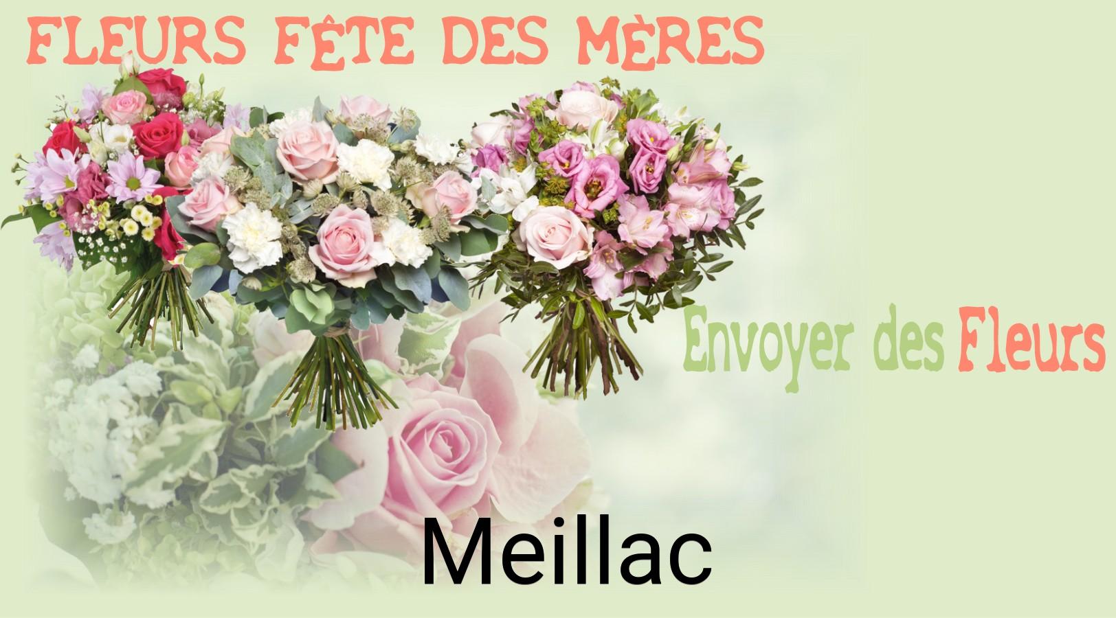 Bouquet de Fête des Mères livré à Meillac